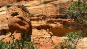 PICTURES/Fay Canyon Trail - Sedona/t_Face3.JPG